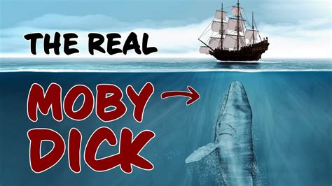 who killed moby dick